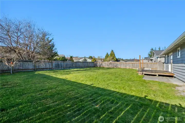 Huge and usable backyard to host BBQ to croquet games.