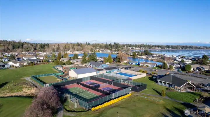 Birch Bay Village residents enjoy access to the clubhouse, athletic courts, a pool, and dog park!