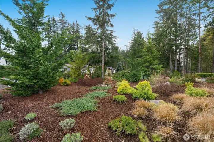 Deer resistant planting selection