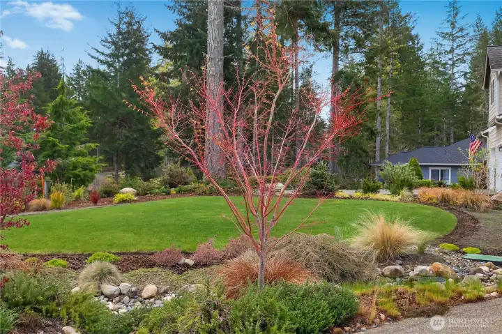 Tasteful plant variety.