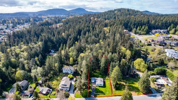 There are 3 parcels included in the sale. The back lot is .17 acres (7405 sqr ft). A total of .41 acres.