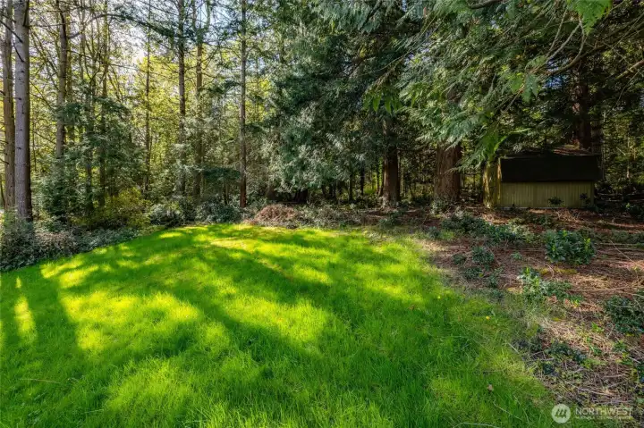 This is part of the extra back lot. There is a large shed on it. Use your imagination back here! Fence it for the critters or kiddos or build a shop?? ADU?? Buyer to verify with the city of Anacortes for uses.