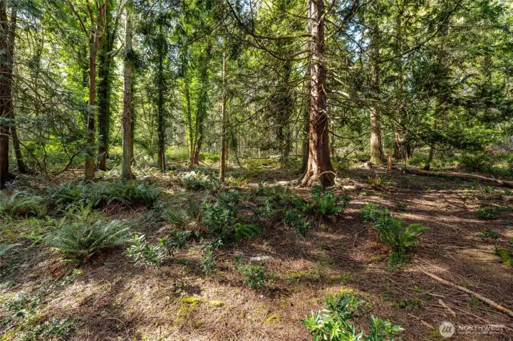 WOW!! Use your imagination here! This is part of the extra back lot. There is a large shed on it. Fence it for the critters or kiddos or build a shop?? ADU?? Buyer to verify with the city of Anacortes for uses.