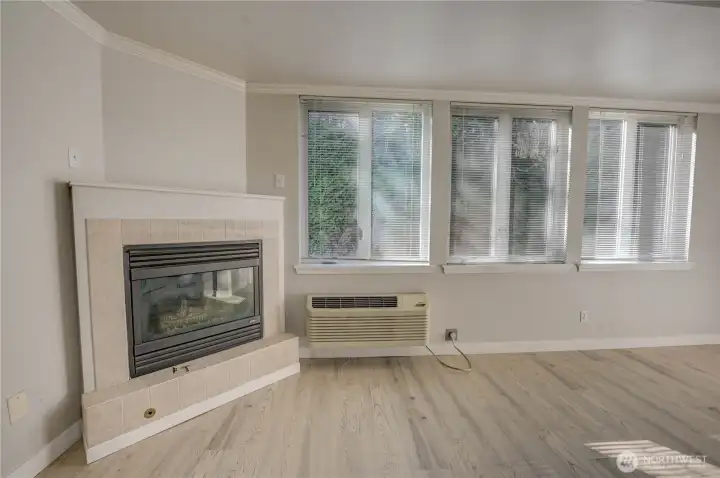 Gas fireplace situated in the corner of long open living/dining space.