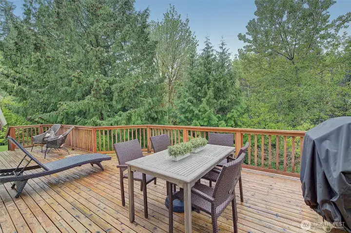 Entertainment size deck