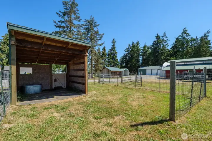 Animal shelter in full view of kitchen to keep an eye on things!