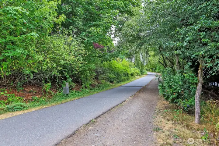 Burke trail