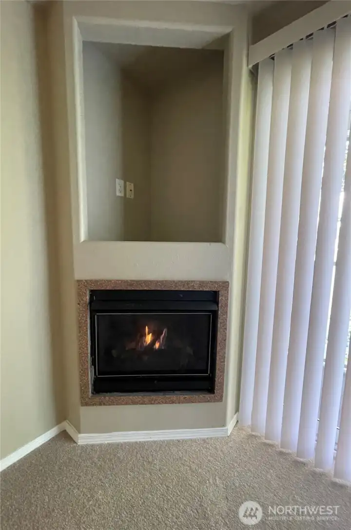Gas fireplace creates a cozy vibe. Gas fireplace creates a cozy vibe.