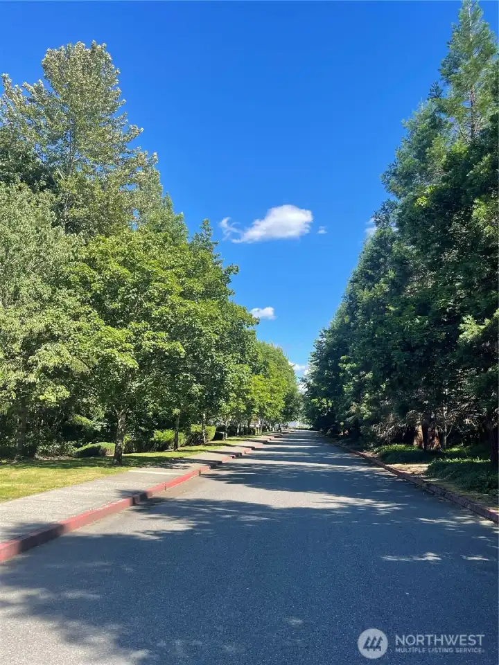 Entrance drive into Canoe Club condominiums Entrance drive into Canoe Club condominiums