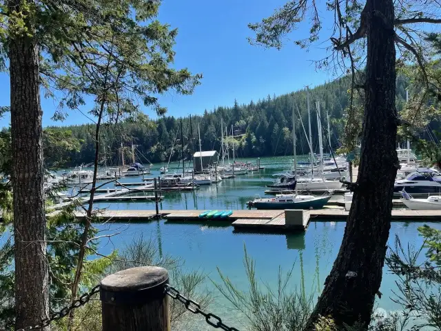 harbor view from driveway