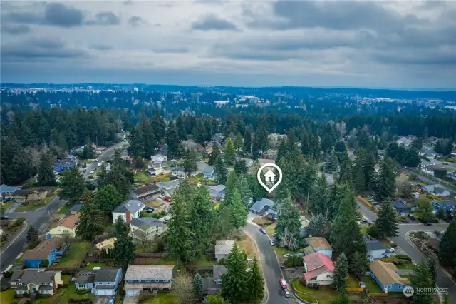 Tucked away on a quiet cul-de-sac, but close to every amenity you may need - parks, trails, the world-class Weyerhauser King County Aquatic center, shopping, entertainment and close proximity to I-5 - this is a great place to call home!