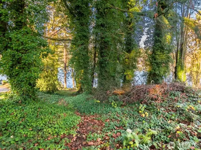 Great views of the waterfrontage through the trees.