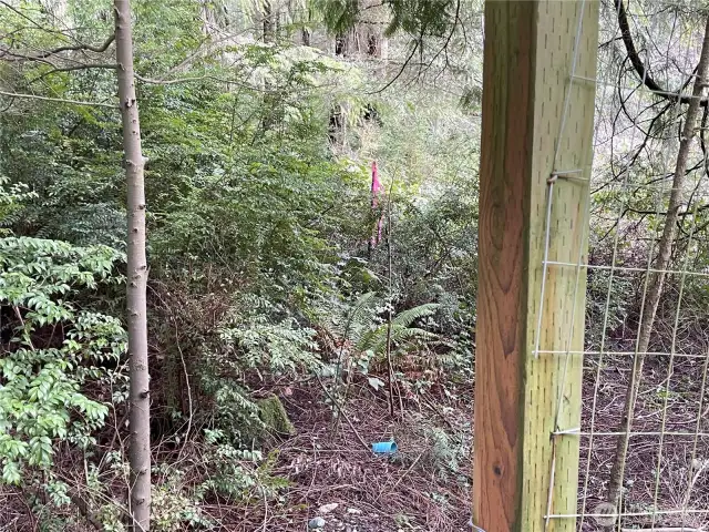 Property Corners Marked