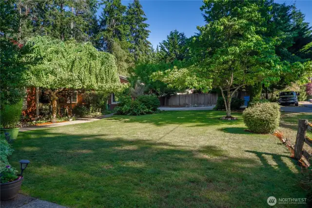 Plenty of room in the front yard for games or just quiet enjoyment of the neighborhood with no through-traffic.