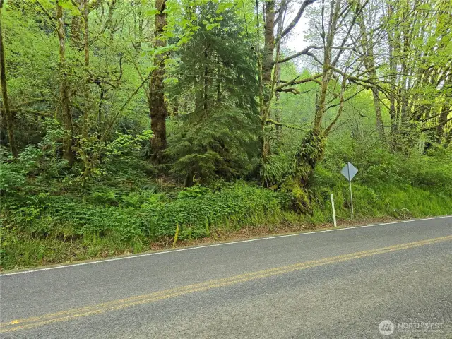 Property located on both sides of the road