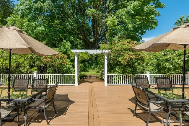 Massive entertaining deck