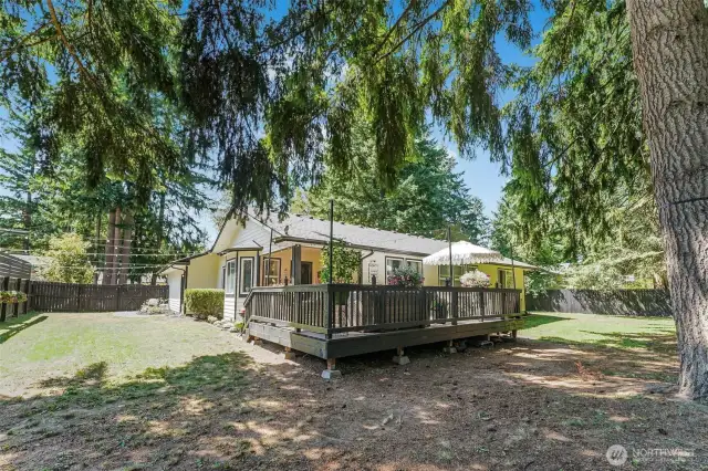 Back side of the house