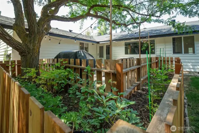 Mature landscaping