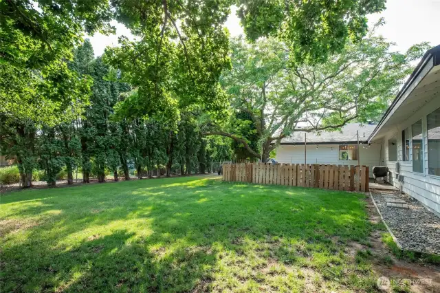 Rear yard
