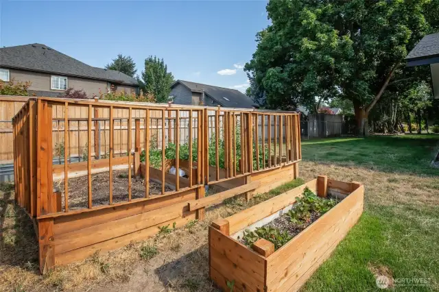 Garden area
