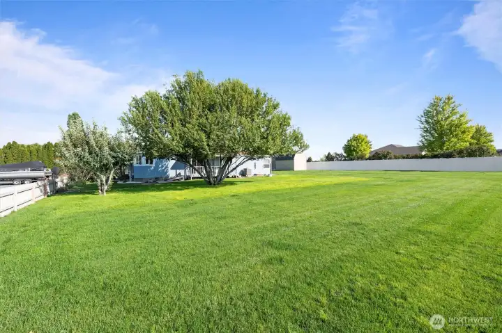 This expansive, fenced backyard is ideal for outdoor enjoyment. The meticulously maintained and landscaped area provides a relaxing and welcoming setting for leisure activities.