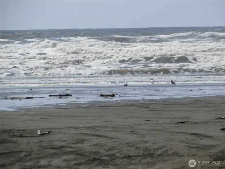 ENJOY BEACH COMBING JUST A SHORT DISTANCE FROM YOUR PROPERTY