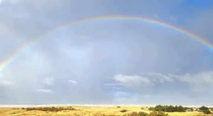 Welcome to the beach!