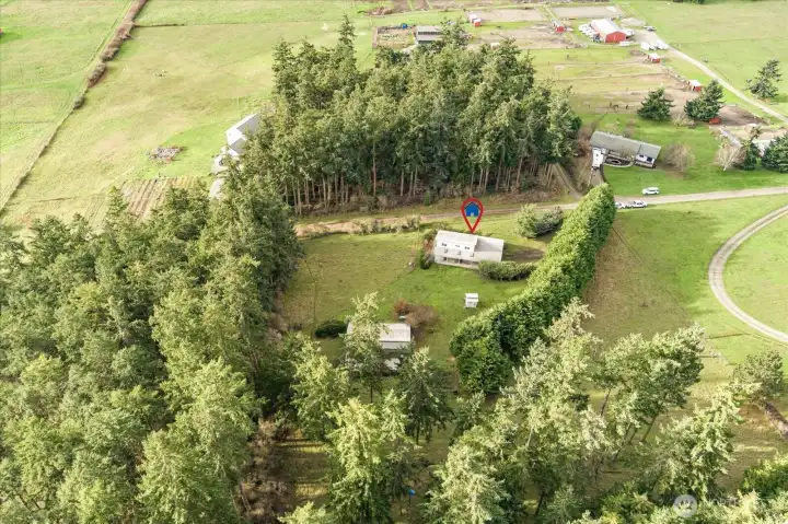 Property is in Ebey's Landing Reserve, meaning this lovely setting is protected from future commercial developement.