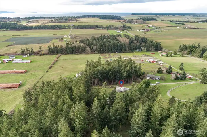 Beautiful Central Whidbey!