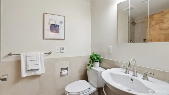 Another full Bath in the basement level.