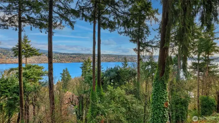 More views of Lake Washington.