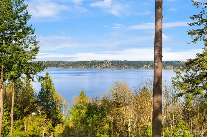 Fantastic spot for bird watching!