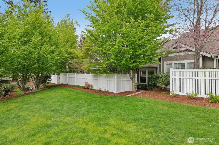 Grass area behind the condo home