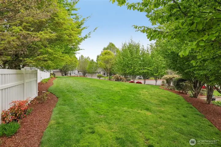 Grass area behind the condo home