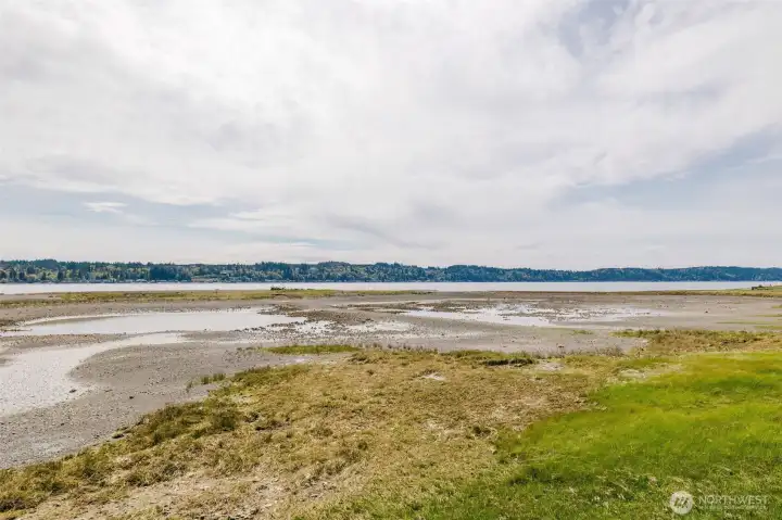 Go beachcombing here