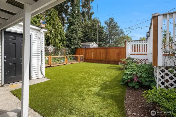 Professionally Turfed back Yard