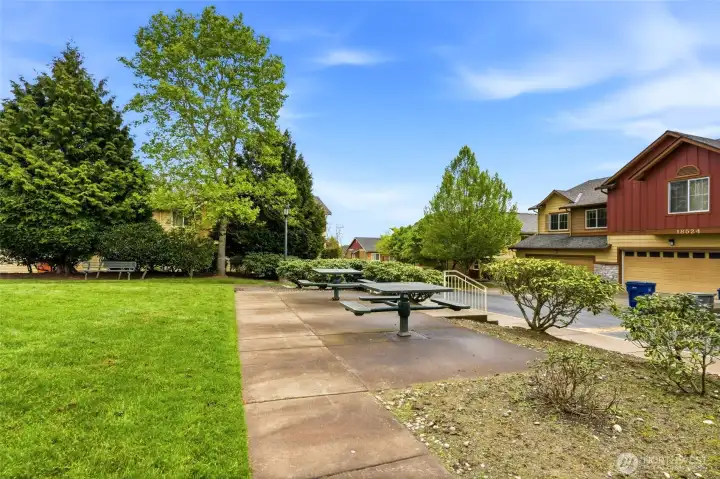Picnic Area