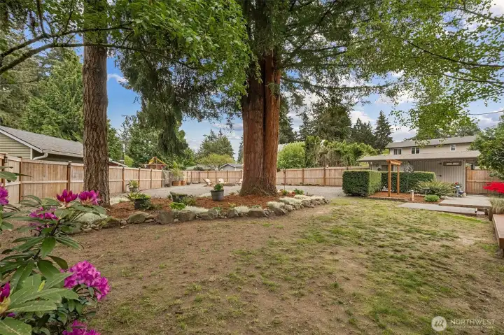 This 1/3 acre lot plus really shines with so many gathering spaces & room for work or play!