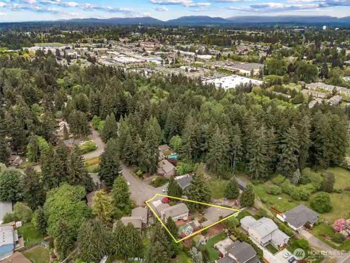 Scenic Hill in Kent — one of the city’s original residential neighborhoods — is treasured for its beautiful mature foliage and established character.