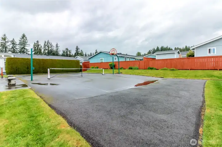 Pickleball Court