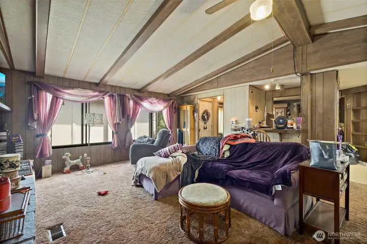 Huge living room