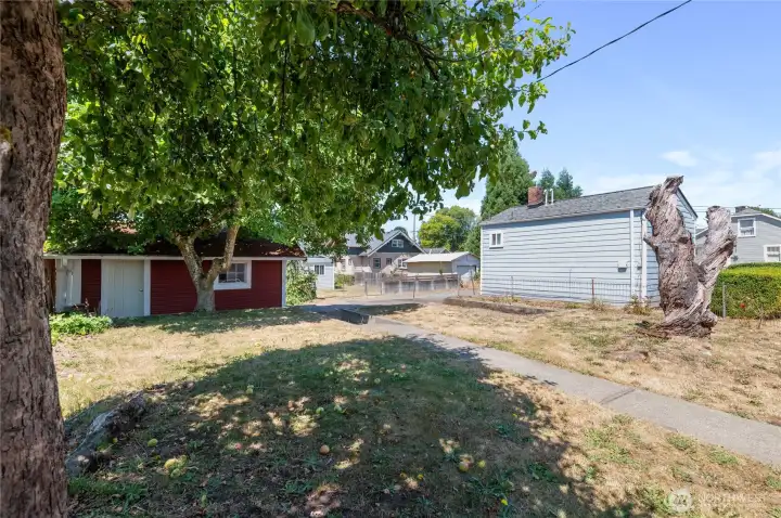 Mature apple tree offers shade and is currently loaded with great tasting apples! Mature apple tree offers shade and is currently loaded with great tasting apples!