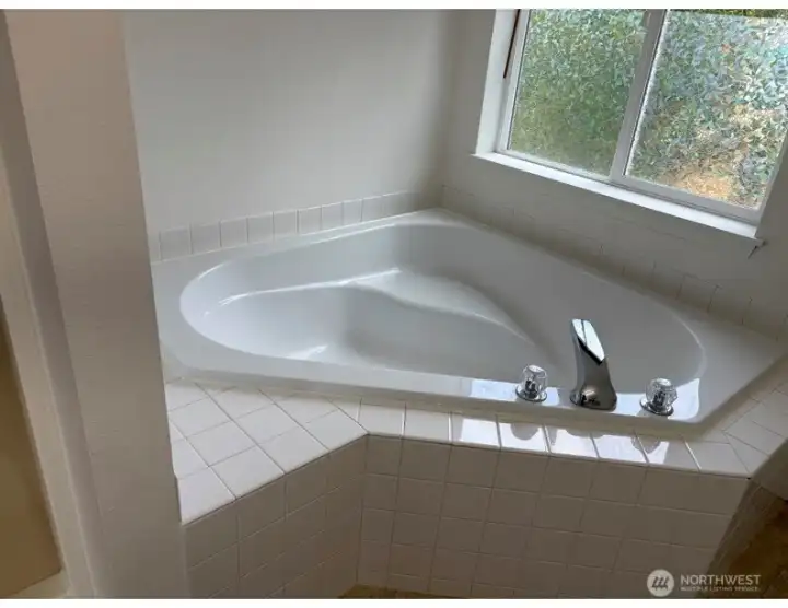 Master Bath Tub Master Bath Tub