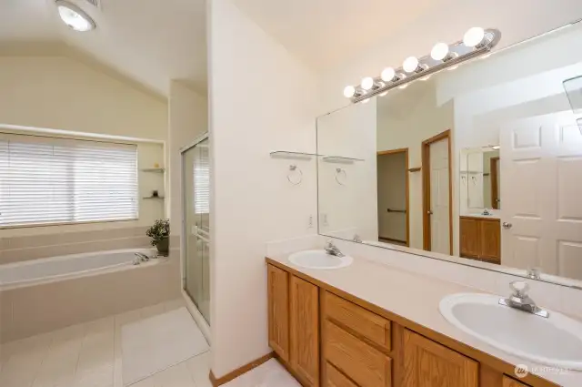 Owner's suite 5 piece bath with walk in closet