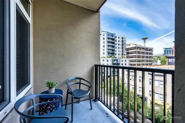 Wonderful private, covered deck & Space Needle views!