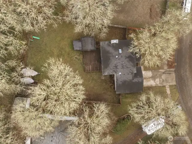 From this view, it’s clear: a spacious backyard framed by dramatic oak tree tops, just waiting for your vision. With the fencing nearly complete, closing the gap is as easy as a weekend project—and then it’s all yours to enjoy!