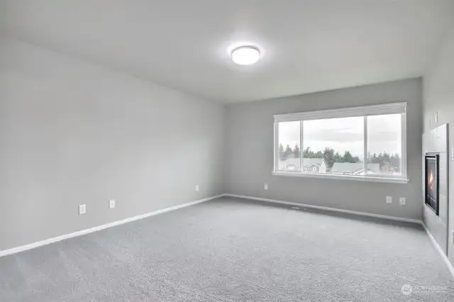 Master bedroom with double sided fireplace facing the backyard