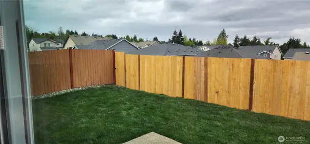 Backyard privacy fence added May 2025