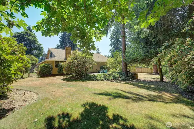 Huge backyard!