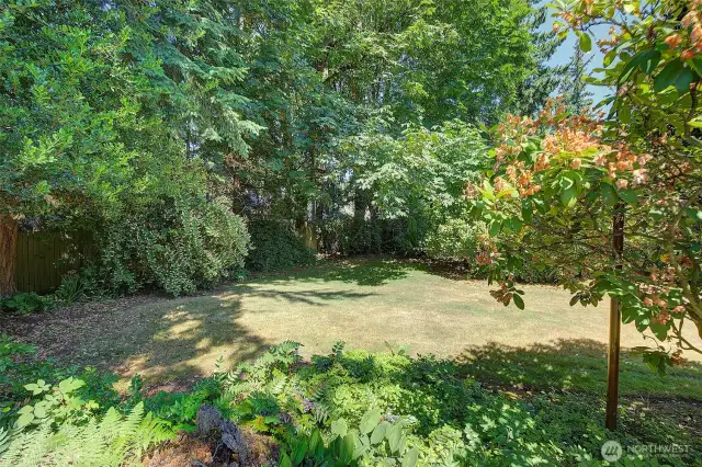 Backyard provides great privacy.